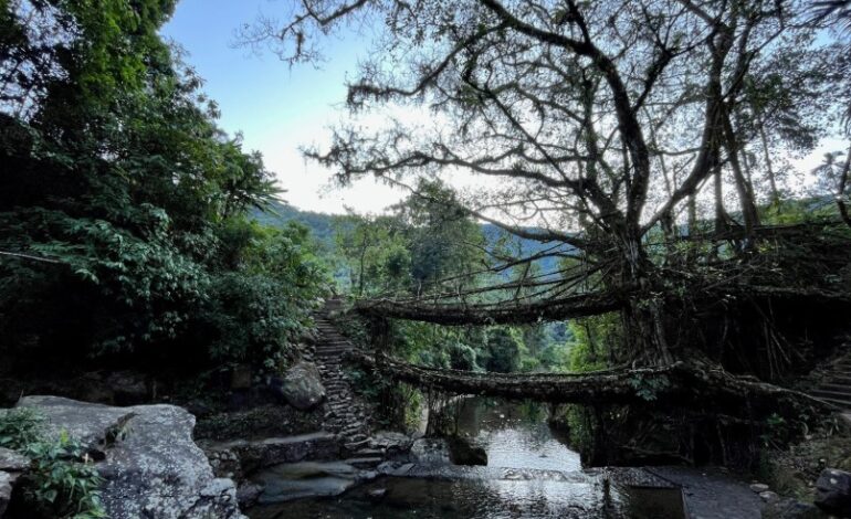 Muddie Trails Crosses 50,000 Travelers and Opens New Journeys into Tawang and Meghalaya